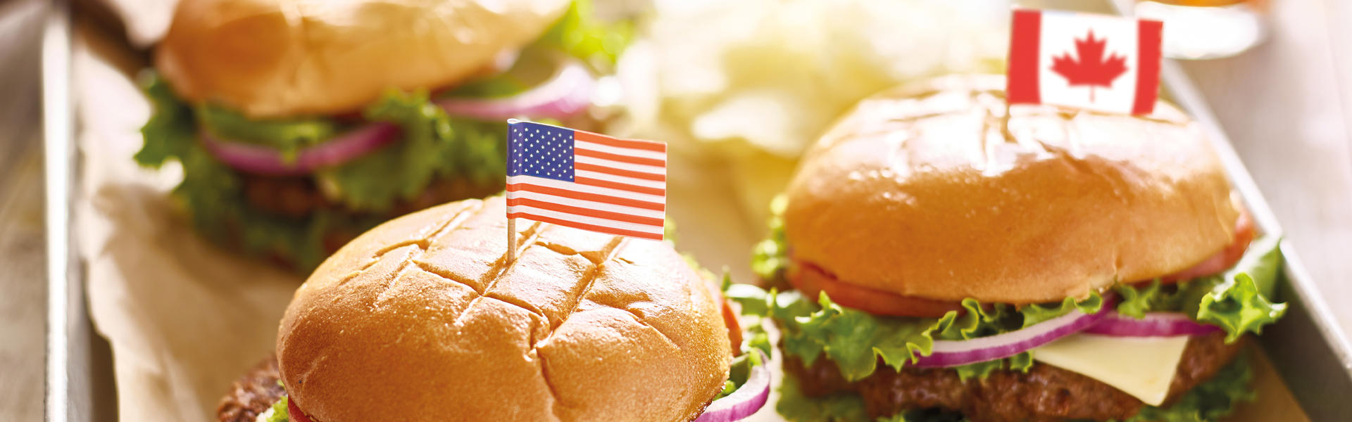 burger-with-flags